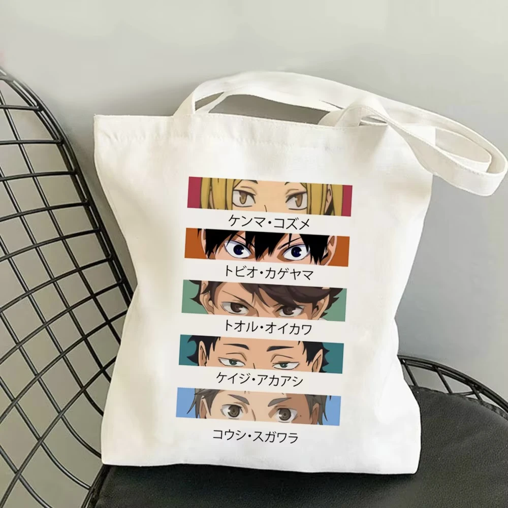 حقيبة هايكيو